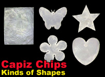 handicraft natural shell jewelry components Philippines Capiz Chips different shapes and sizes.