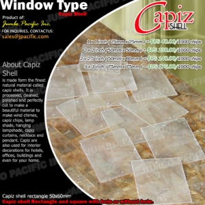 Window Type Capiz Shell Chips