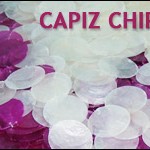 Capiz Shell Chips