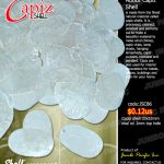 Capiz Shells | Philippines Capiz Shells